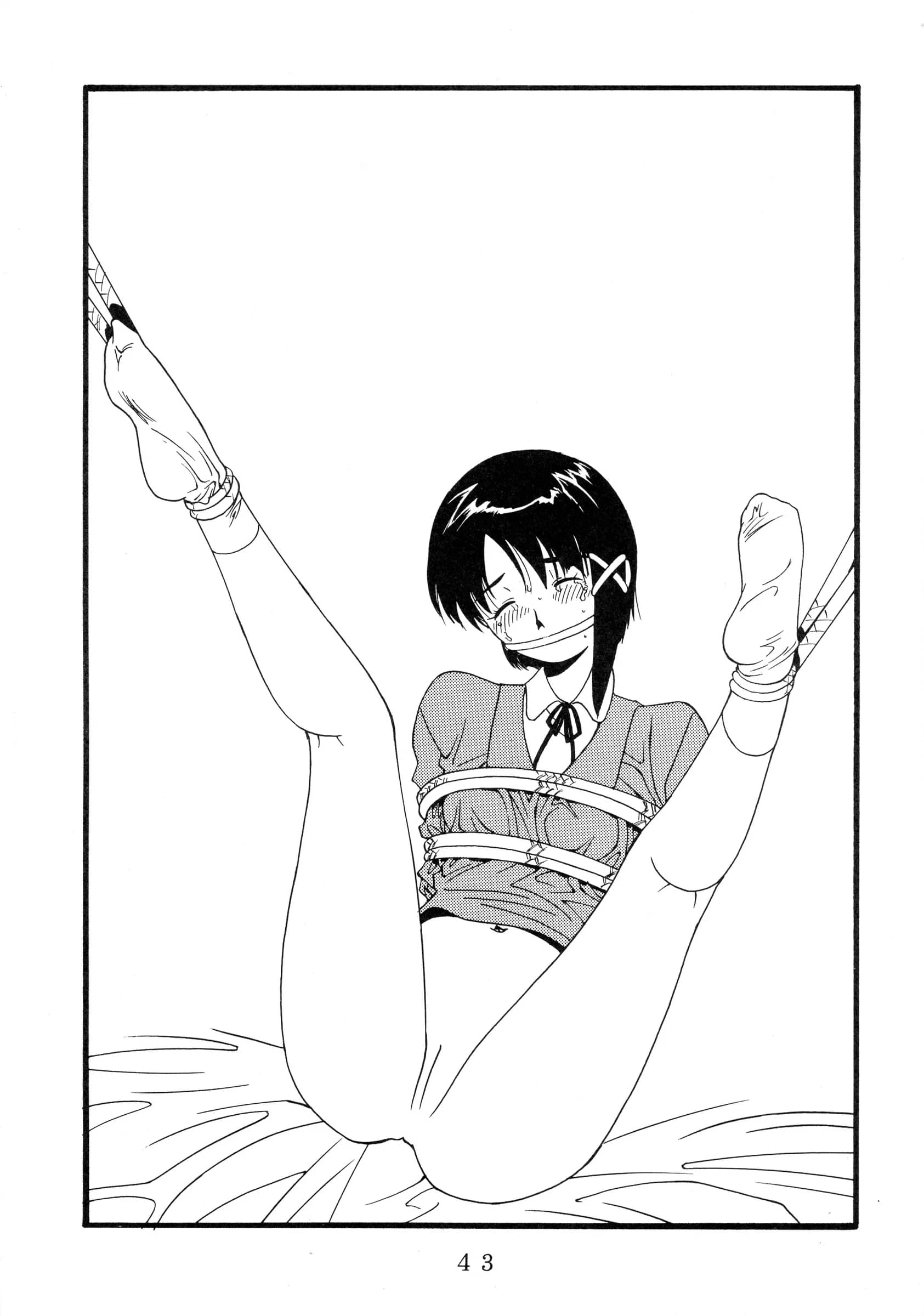 Comic Kingdom : Oyama Kumotsuru | [Lain] Kan'nou Monogatari [Serial Experiments Lain]