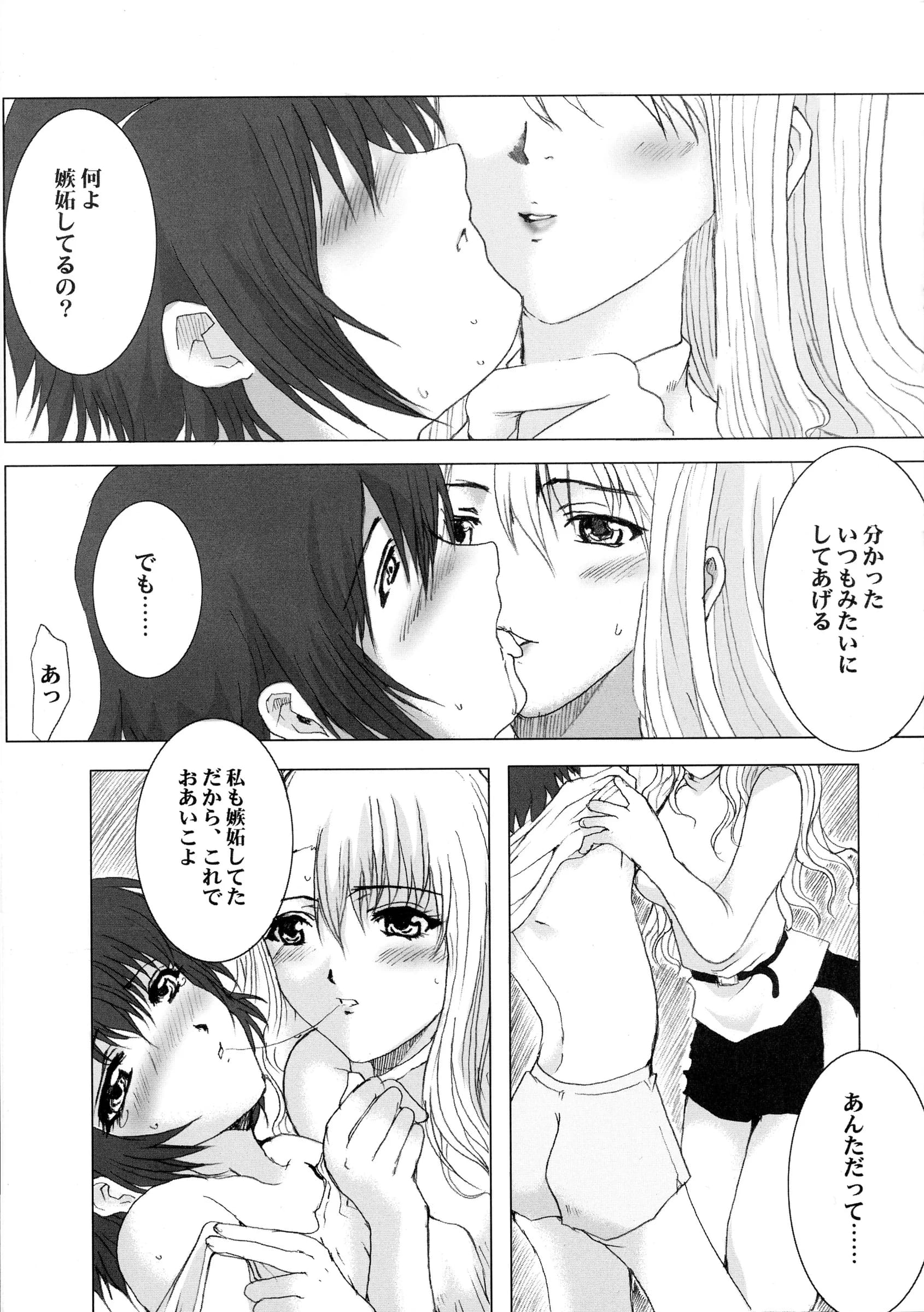 Neko to Hato : Nekomanma, Hatoya Mameshichi | Promesse II Yakusoku no Toki Kanketsuhen (Noir)