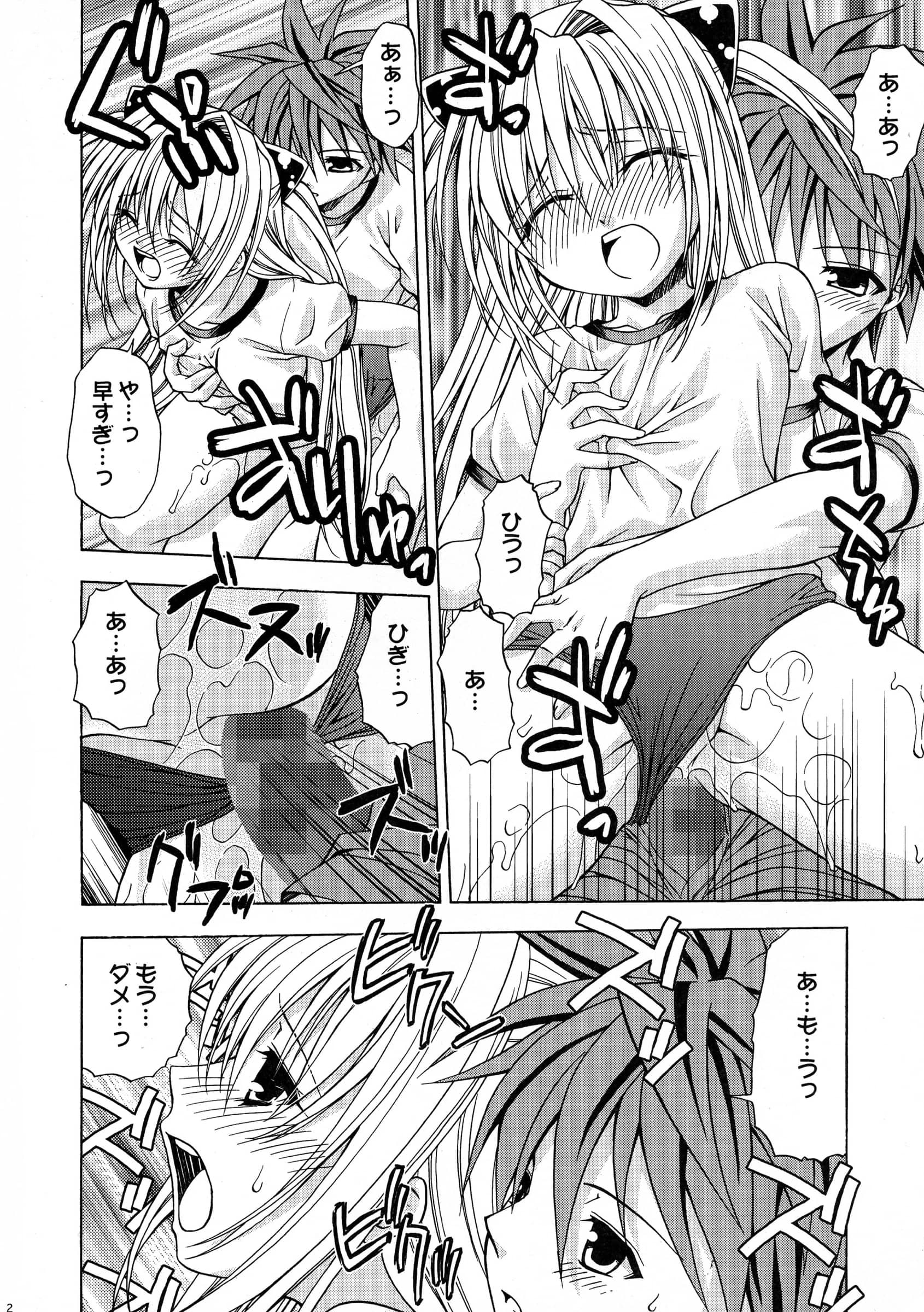 Studio Wallaby : Shizaki Masayuki | Ecchii no wa Suki Desu ka? 2 (To LOVE-Ru)