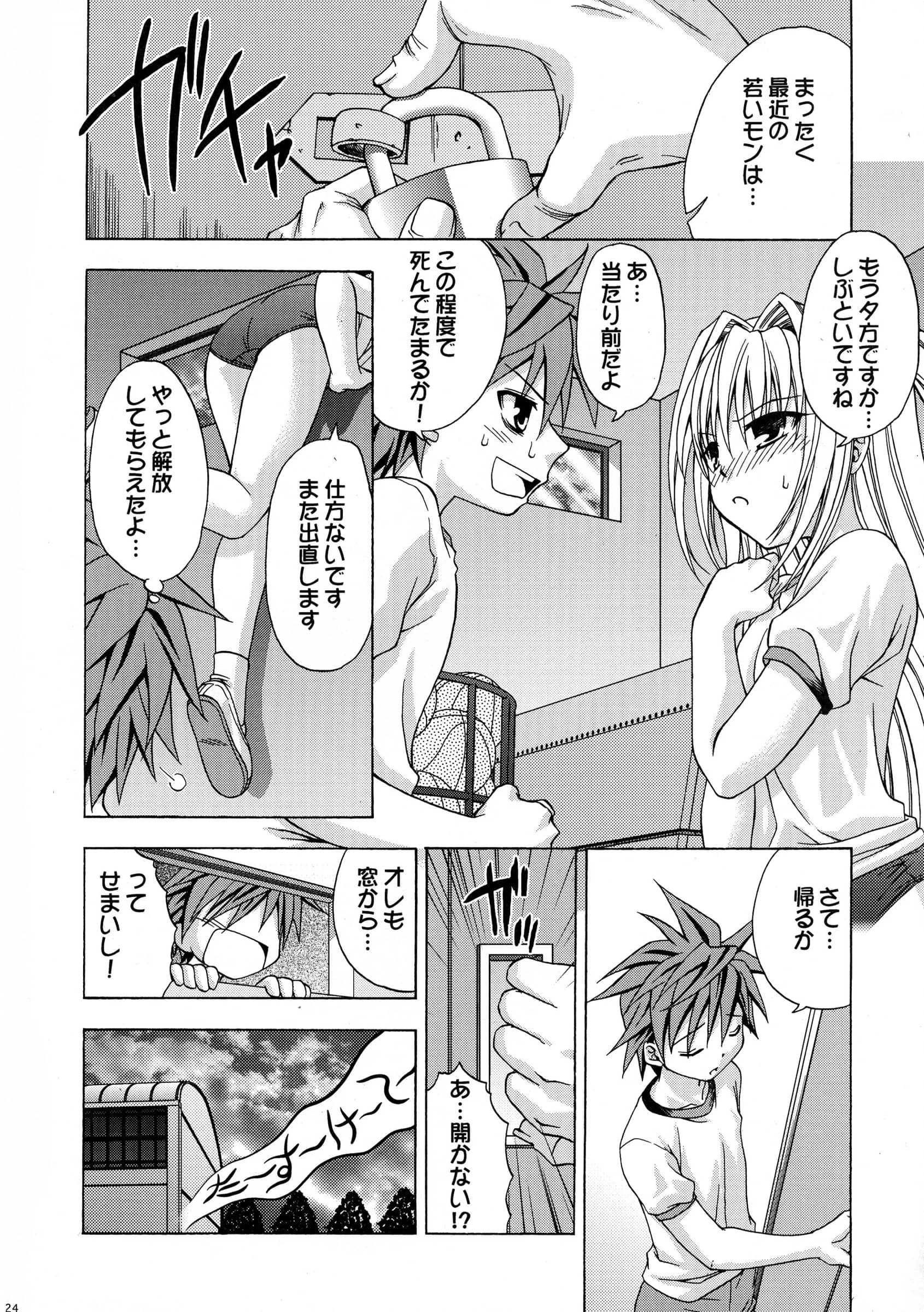 Studio Wallaby : Shizaki Masayuki | Ecchii no wa Suki Desu ka? 2 (To LOVE-Ru)